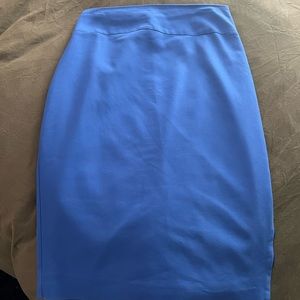 EXPRESS High Waisted Pencil Skirt - Full Length Side Zipper